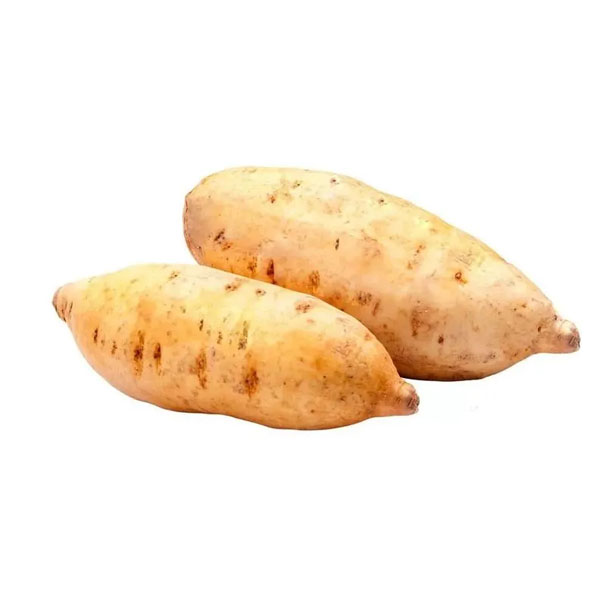 Batata Doce Branca